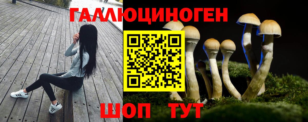 Галлюциногенные грибы Cubensis  Вход с VPN  Черняховск 